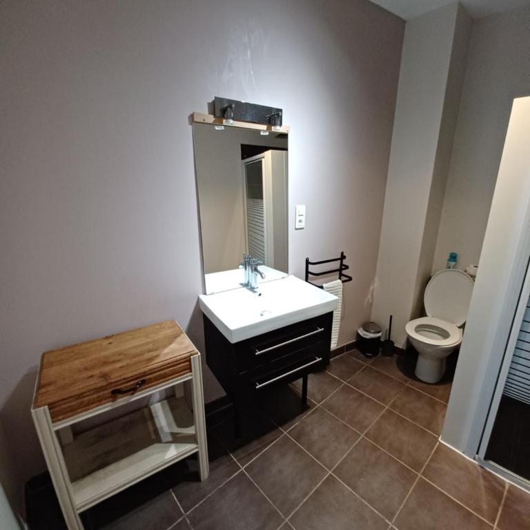 Charmant logement de Qualité - Centre ville de Millau - Appartement 1 Chambre - 3