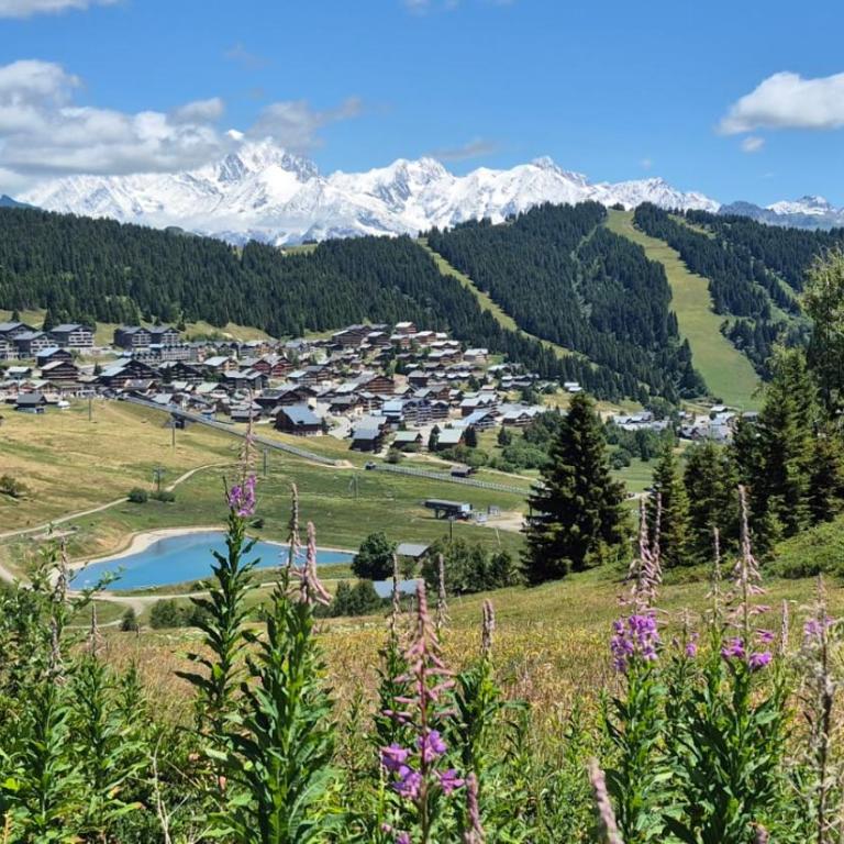 Studio lumineux station Les Saisies 100 M des pistes et ESF pour été comme hiver - Appartamento con 1 Camera da Letto - 15