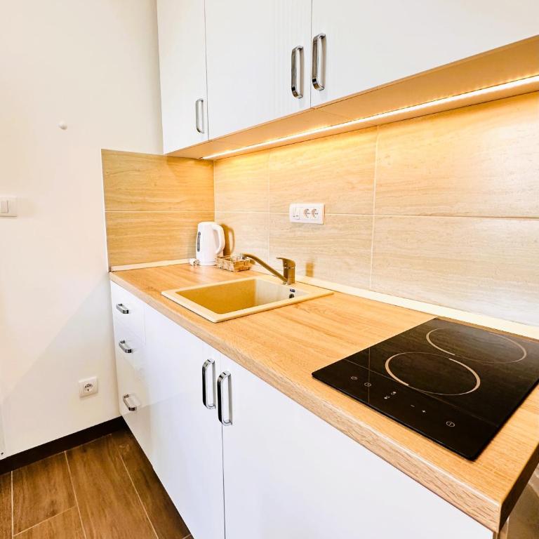 Penthouse Studio Borovi - Deluks Studio sa Bračnim Krevetom (King-size) - 7