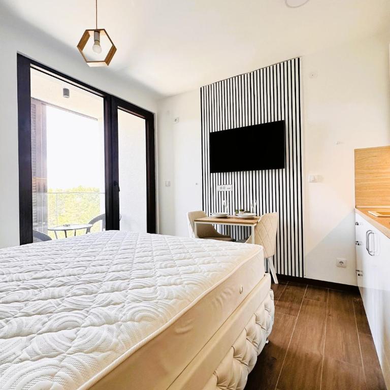 Penthouse Studio Borovi - Deluks Studio sa Bračnim Krevetom (King-size) - 34