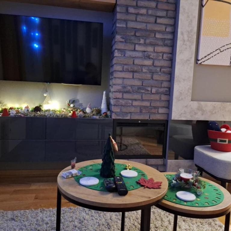 Apartmani Leo Titova Vila Zlatibor - Apartman sa 1 Spavaćom Sobom - 60