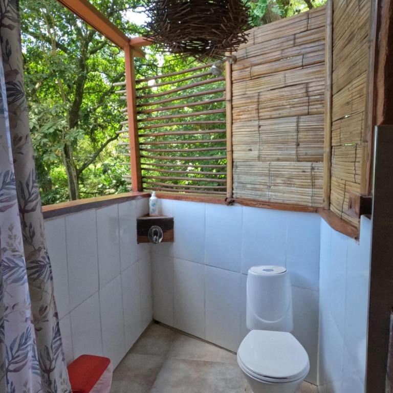 Hostal CASA COLIBRI MINCA - Apartamento Deluxe - 6
