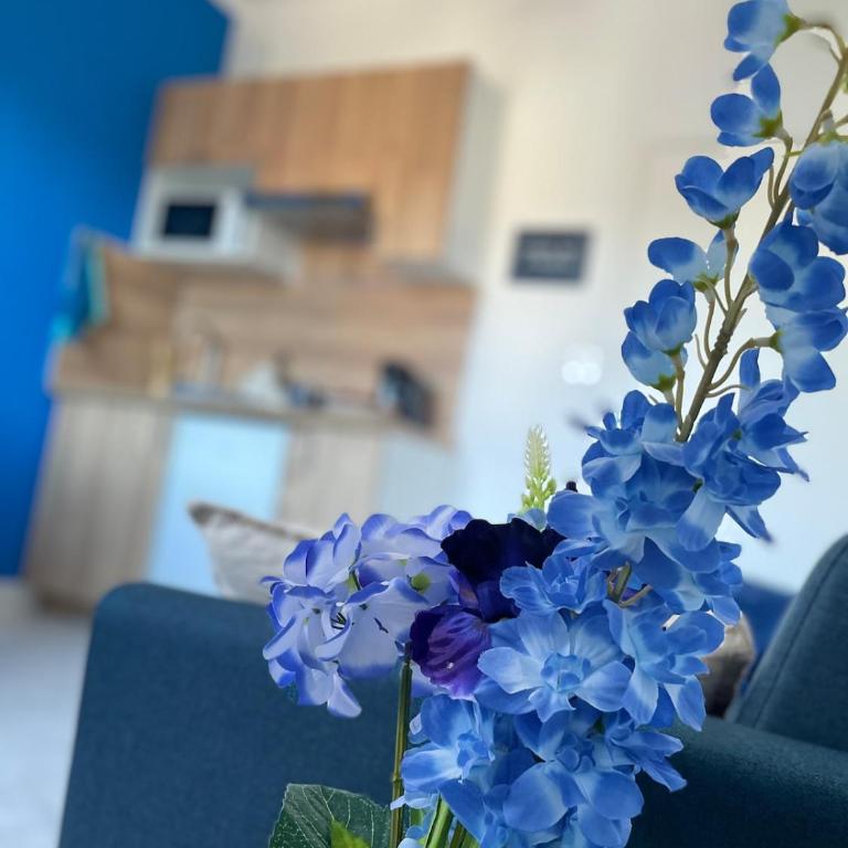 Appartement bleu mer paisible - Apartamento de 1 dormitorio - 2