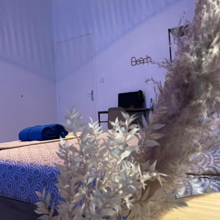 Appartement bleu mer paisible - Apartamento de 1 dormitorio - 46