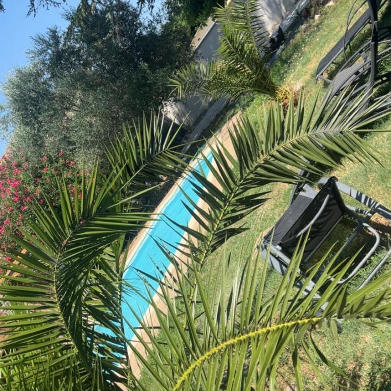 3km Festival villa 4 chambres-jardin piscine - 3parking PMR - Villa - 29