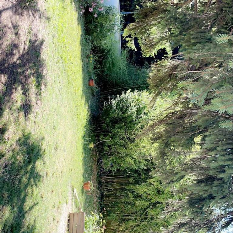 3km Festival villa 4 chambres-jardin piscine - 3parking PMR - Villa - 42