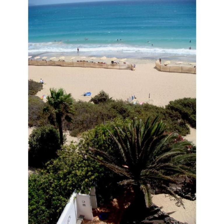 Apartment Penthouse Comfortable Vacation Home - Apartamento de 1 dormitorio - 19
