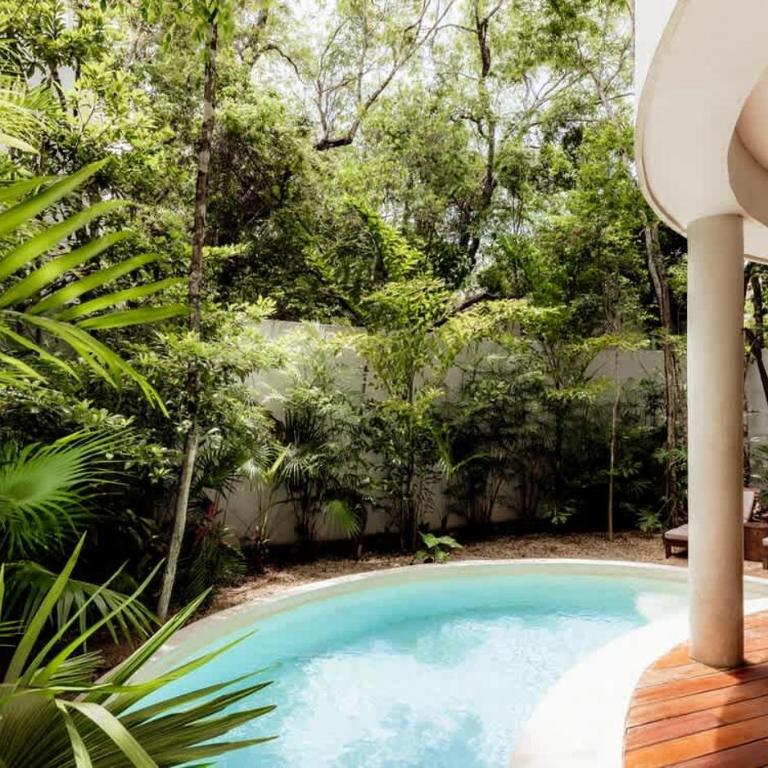Lux Casa Kuk 2 Pools 2 Kitchens Rooftop Oasis - Casa - 7