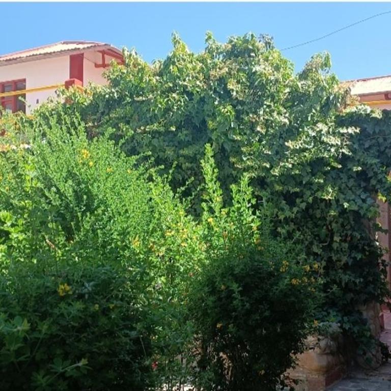 MISKY WASI LODGE De Gloria - One-Bedroom Apartment - 3