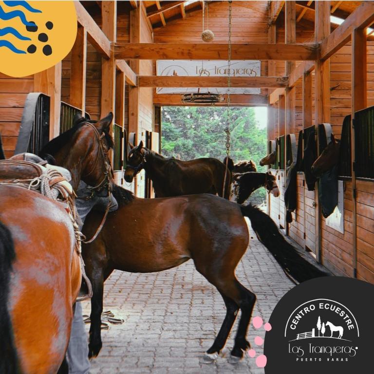 Casa Las Tranqueras - Casa de 4 dormitorios - 23