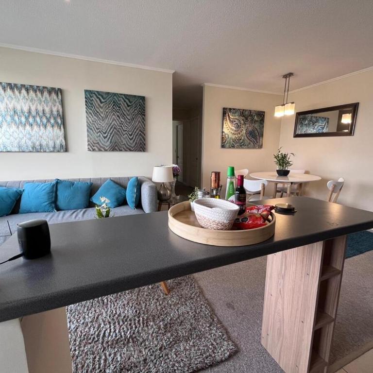 Espectacular depto en condo 2D 2B Full Equipado Wifi Aire Estacionamiento - Two-Bedroom Apartment - 11