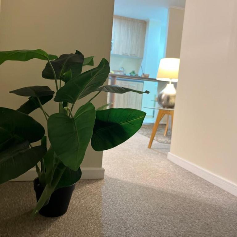 Espectacular depto en condo 2D 2B Full Equipado Wifi Aire Estacionamiento - Two-Bedroom Apartment - 24