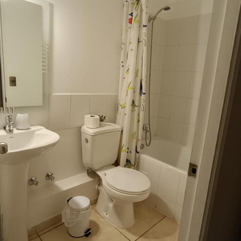 Espectacular depto en condo 2D 2B Full Equipado Wifi Aire Estacionamiento - Two-Bedroom Apartment - 25