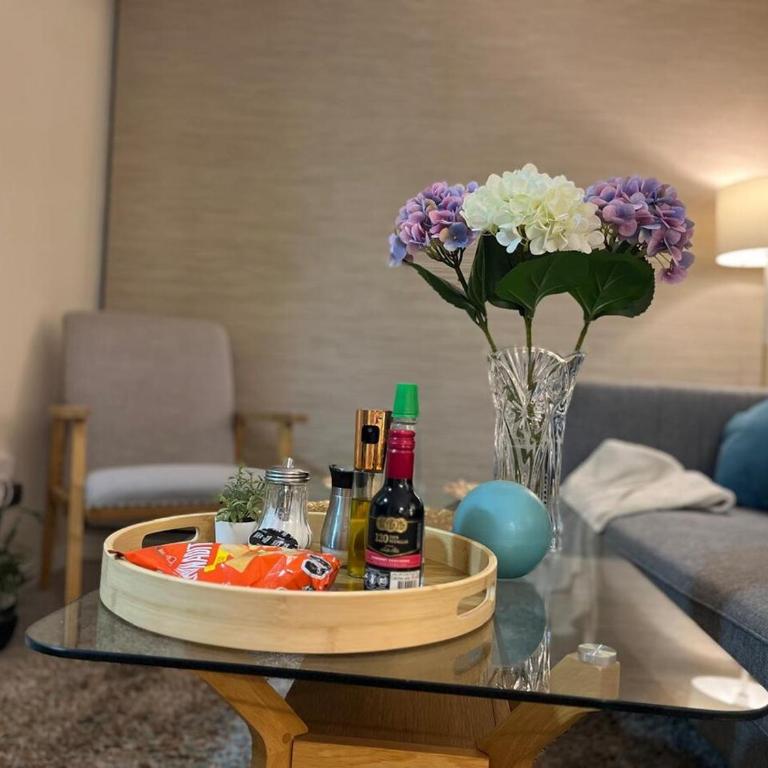 Espectacular depto en condo 2D 2B Full Equipado Wifi Aire Estacionamiento - Two-Bedroom Apartment - 30