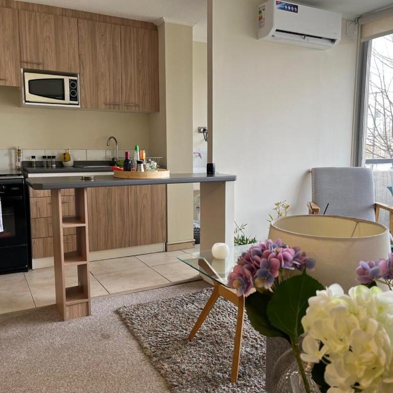 Espectacular depto en condo 2D 2B Full Equipado Wifi Aire Estacionamiento - Two-Bedroom Apartment - 47