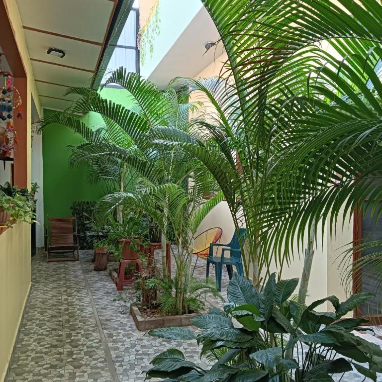 Hospedaje La Casa del Sol - Two-Bedroom House - 4