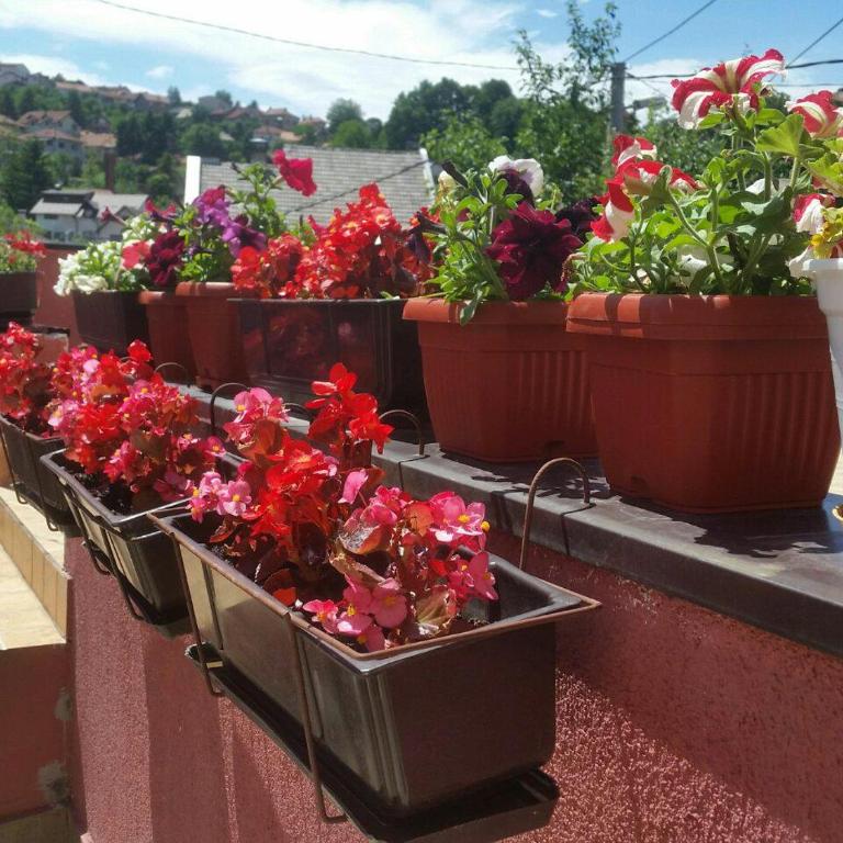 BTO Holiday Home - Holiday Kuća s 4 Spavaće Sobe - 43