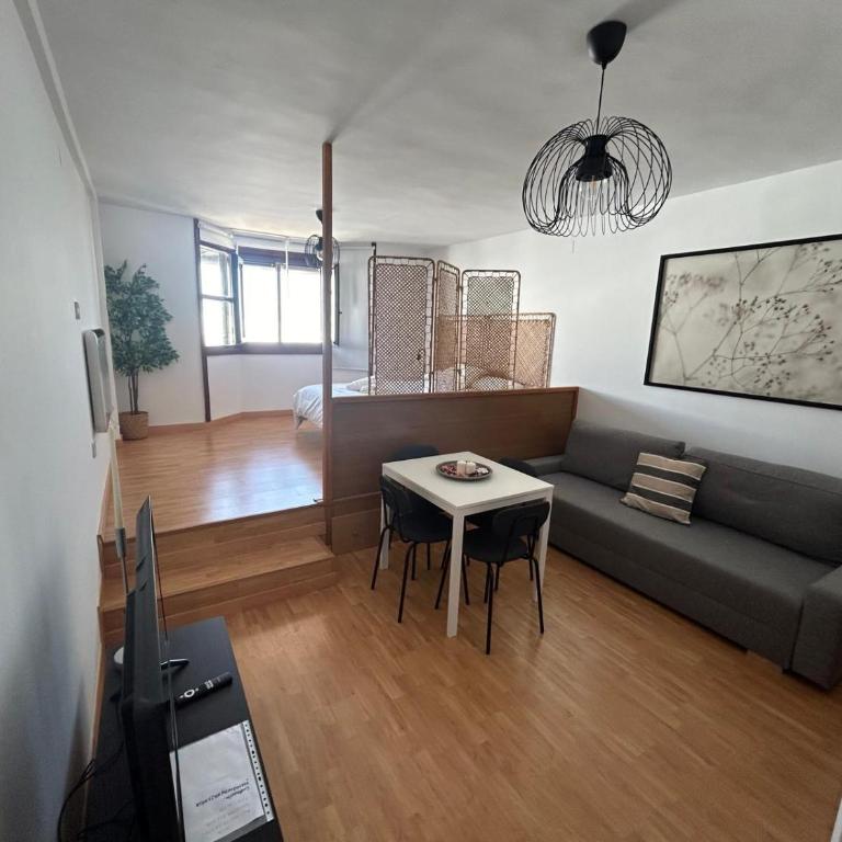 Fuente del Tesoro Apartment - One-Bedroom Apartment - 15