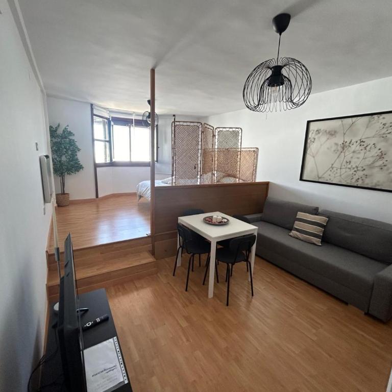Fuente del Tesoro Apartment - One-Bedroom Apartment - 21