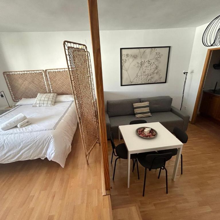 Fuente del Tesoro Apartment - One-Bedroom Apartment - 18