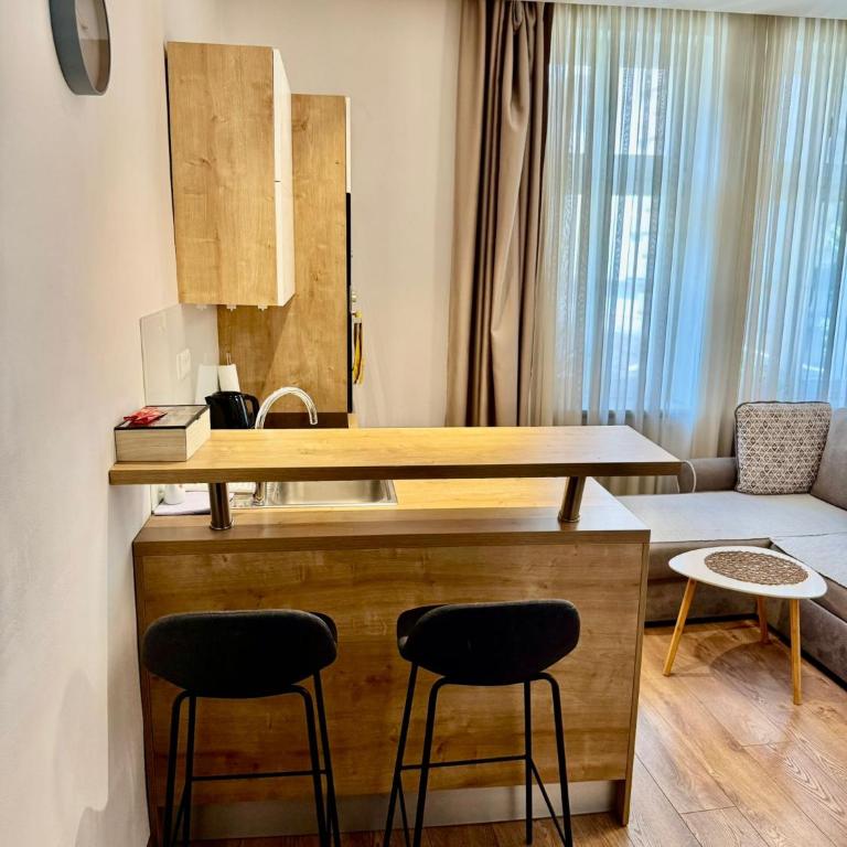 Vila Mila - Studio Apartman - 3
