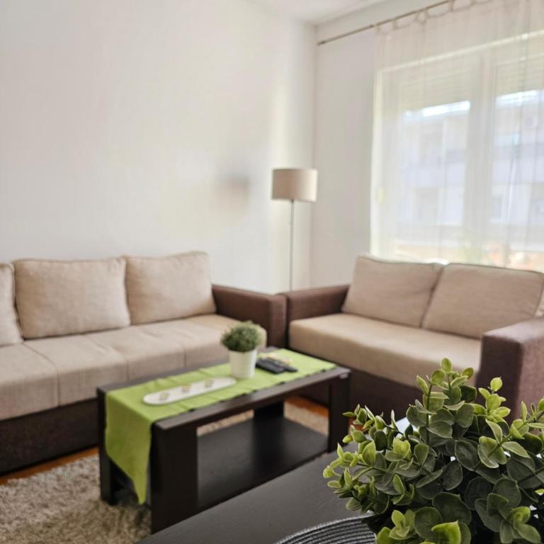 Stan Svetozara Markovića 5A - Apartman sa 1 Spavaćom Sobom - 14