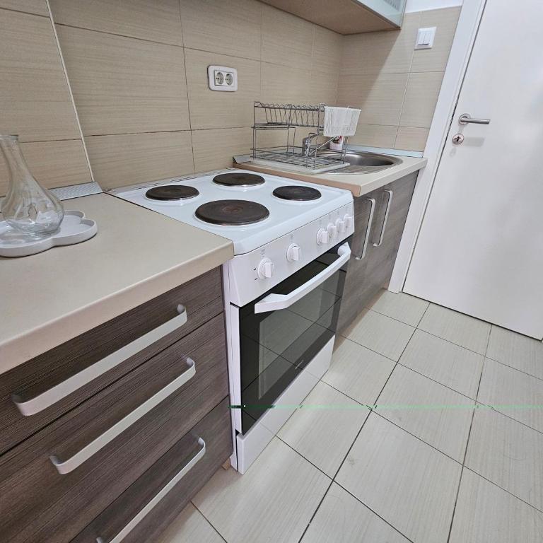 Stan Svetozara Markovića 5A - Apartman sa 1 Spavaćom Sobom - 18