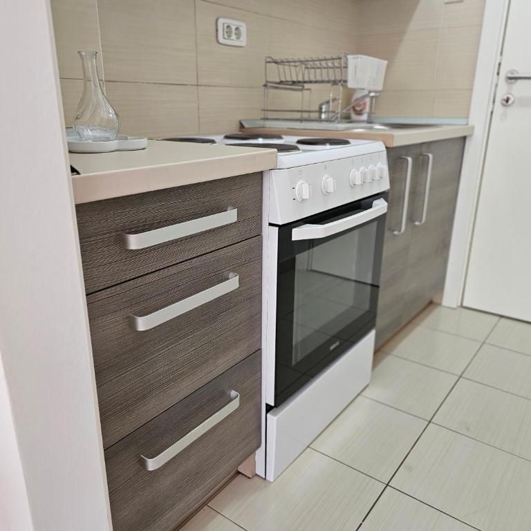 Stan Svetozara Markovića 5A - Apartman sa 1 Spavaćom Sobom - 17