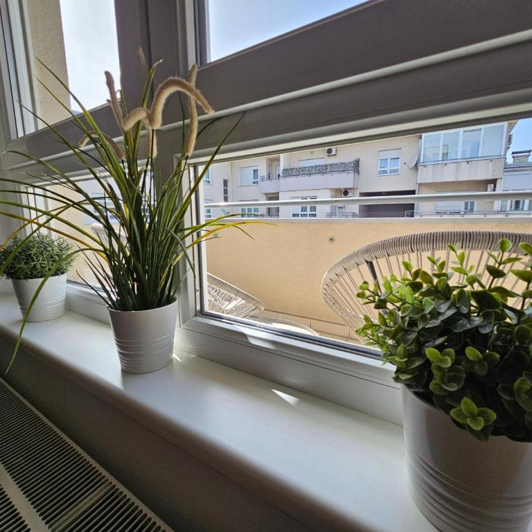 Stan Svetozara Markovića 5A - Apartman sa 1 Spavaćom Sobom - 20