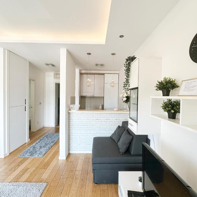 S A R A Lux - Studio - 4