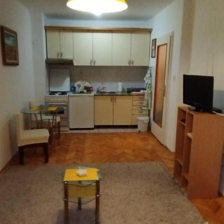 Apartman MED Novi Sad - Apartman sa 1 Spavaćom Sobom - 3