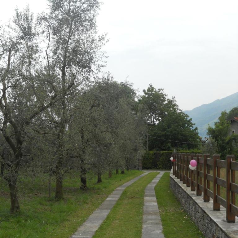 Villa Giardino Ulivo - Villa con Piscina Privata - 6