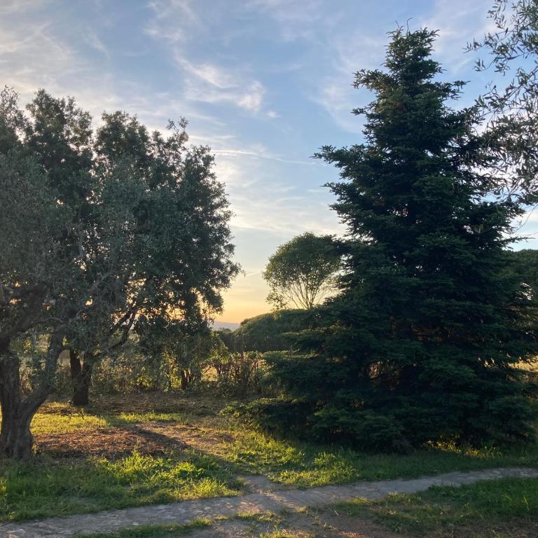 Villa Ginevra Viterbo - Villa con 3 Camere da Letto - 15