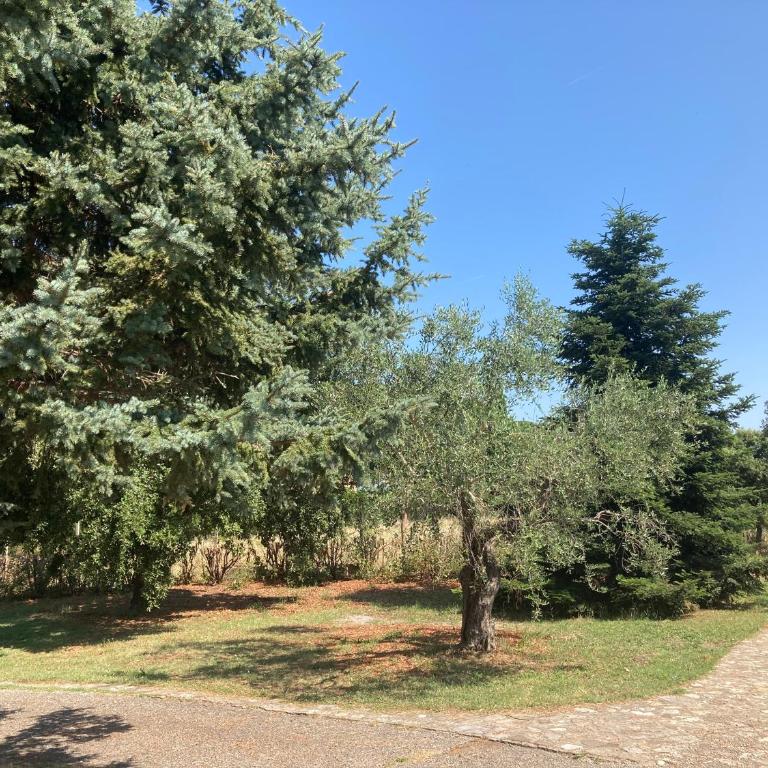 Villa Ginevra Viterbo - Villa con 3 Camere da Letto - 40