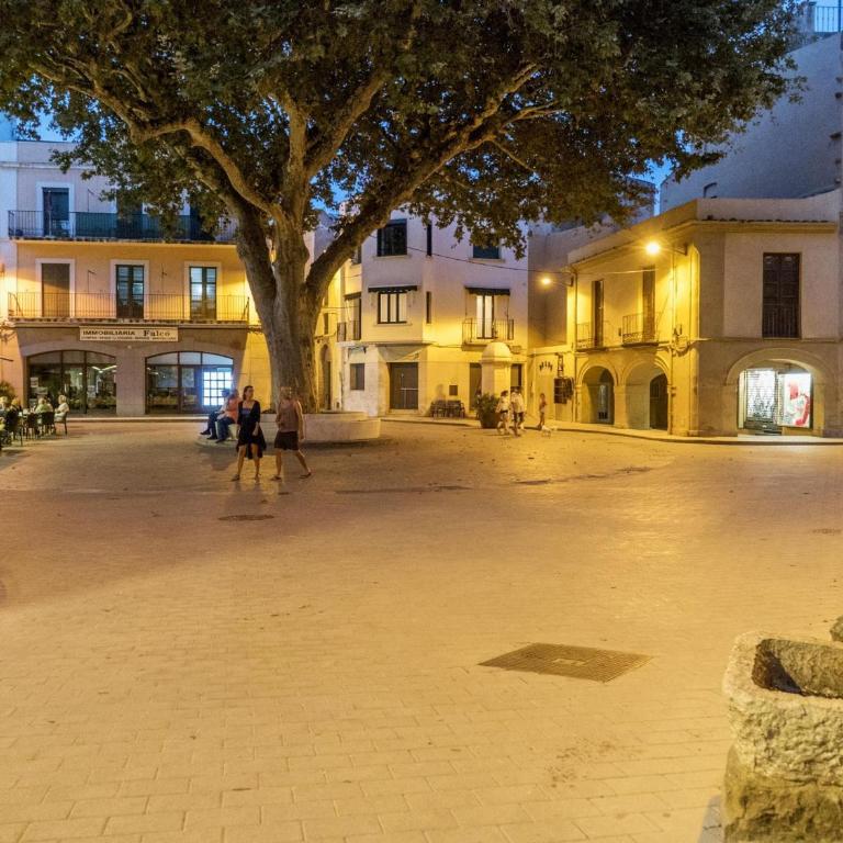 Apartamento acogedor para 6 personas en el centro de Llançà, cerca de playas y actividades familiares - ES-170-88 - Apartamento - 16