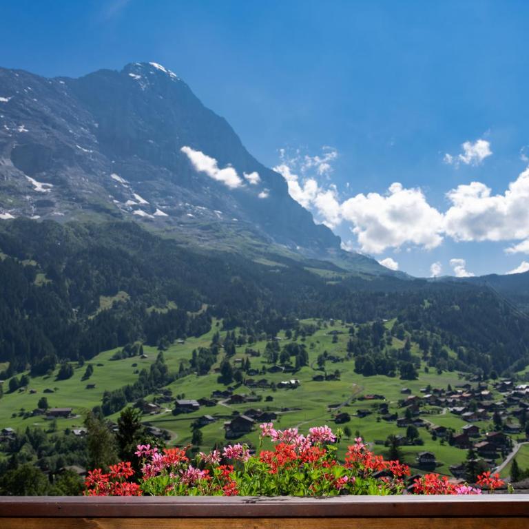 Jungfrau Lodge, Swiss Mountain Hotel - Doppel- oder Zweibettzimmer mit Eigerblick und Balkon - 1