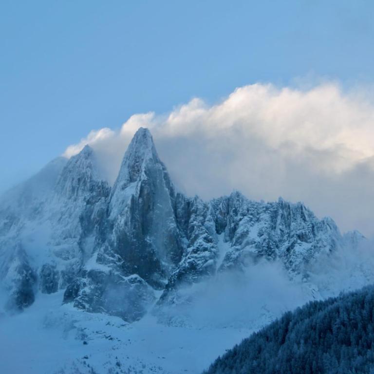 Experience Mont Blanc with your family - Chalet - 26