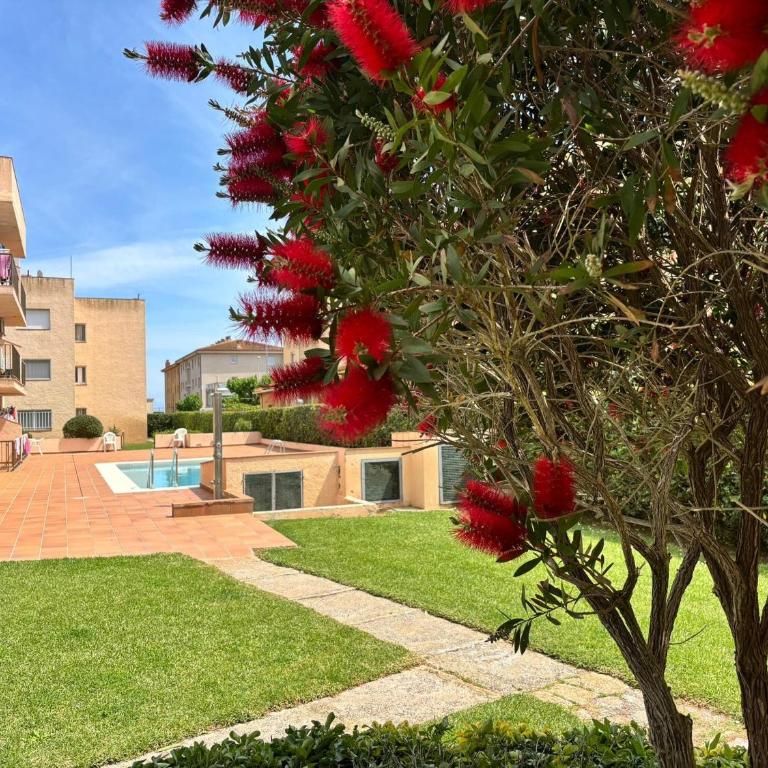 Apartamento Calella 4: Cerca del Mar, Mascotas Bienvenidas - ES-323-80 - Apartment - 27