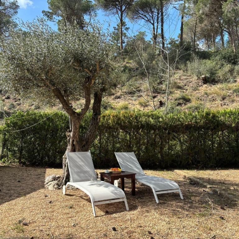 Casa con Gran Jardín Privado y Piscina Comunitaria en Torroella de Montgrí - ES-323-44 - Vacation Home - 35
