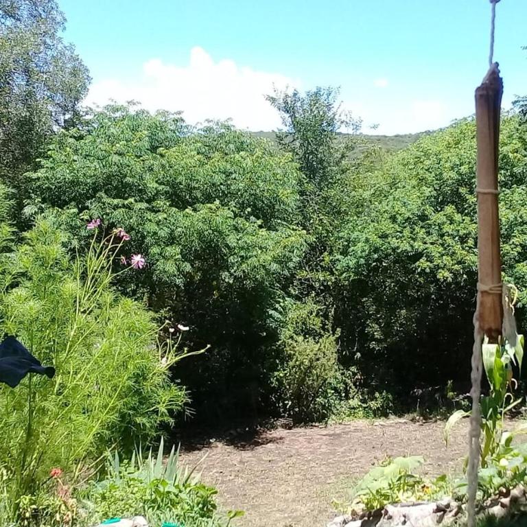 Departamento MGS - Apartamento de 1 dormitorio - 18