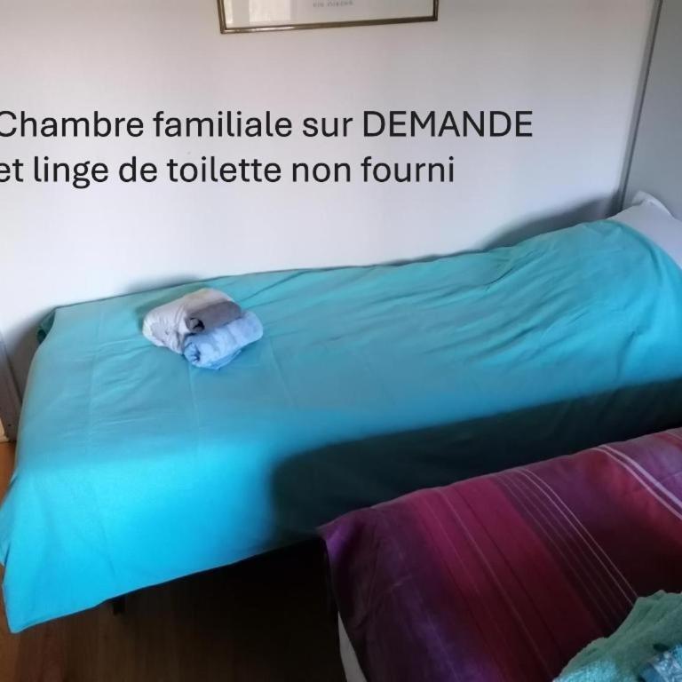 Gîte au calme près du lac d'Annecy - One-Bedroom Apartment - 5