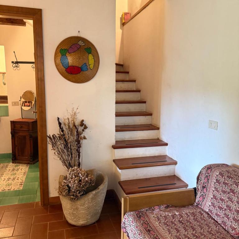 Iorio's Country House - One-Bedroom House - 12