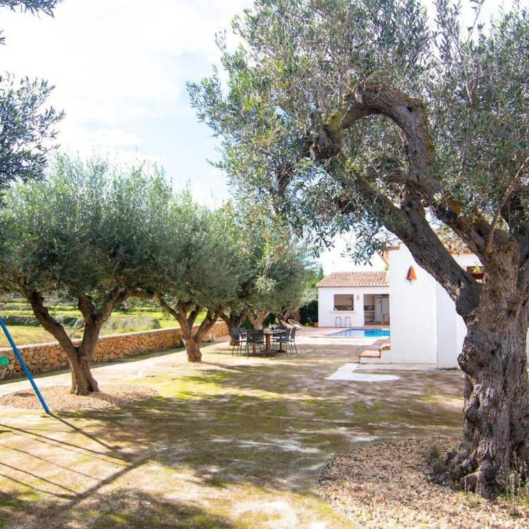 Finca Les Oliveres - Casa - 14