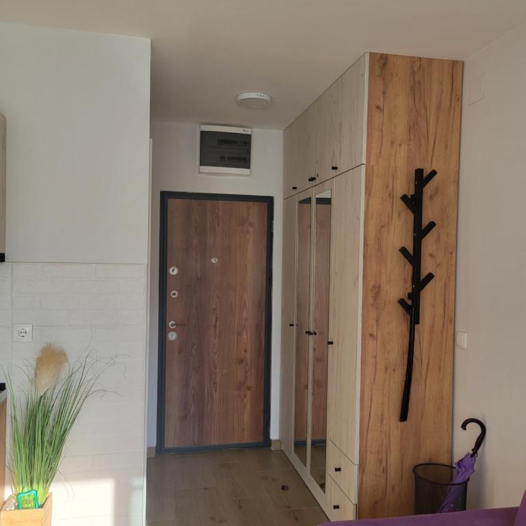 Studio Lola Jezero - Apartman sa 1 Spavaćom Sobom - 15