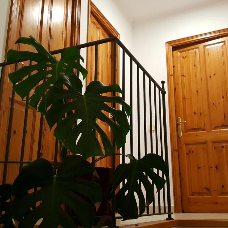 Platja de Pals, casa en zona residencial prop de Begur - Casa de 3 dormitorios - 18