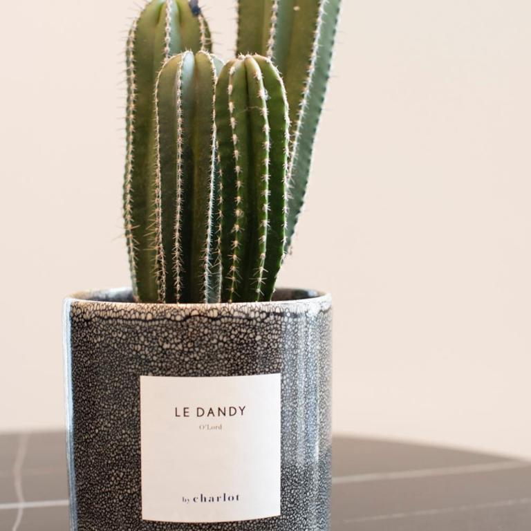 O'Lord, 4 Etoiles, Residence de Luxe Champs-Elysees - Studio Lady Lamb - 5
