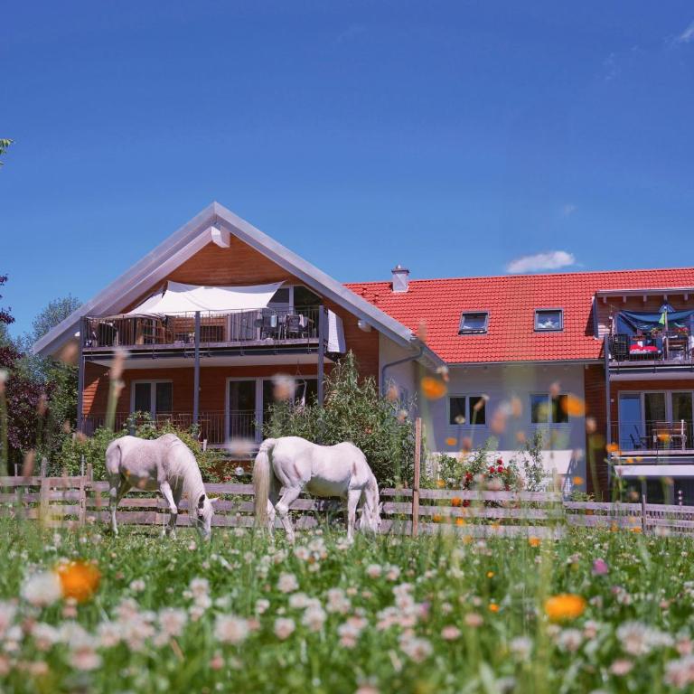 Kempten zentral im Grünen - Apartamento de 3 dormitorios - 11