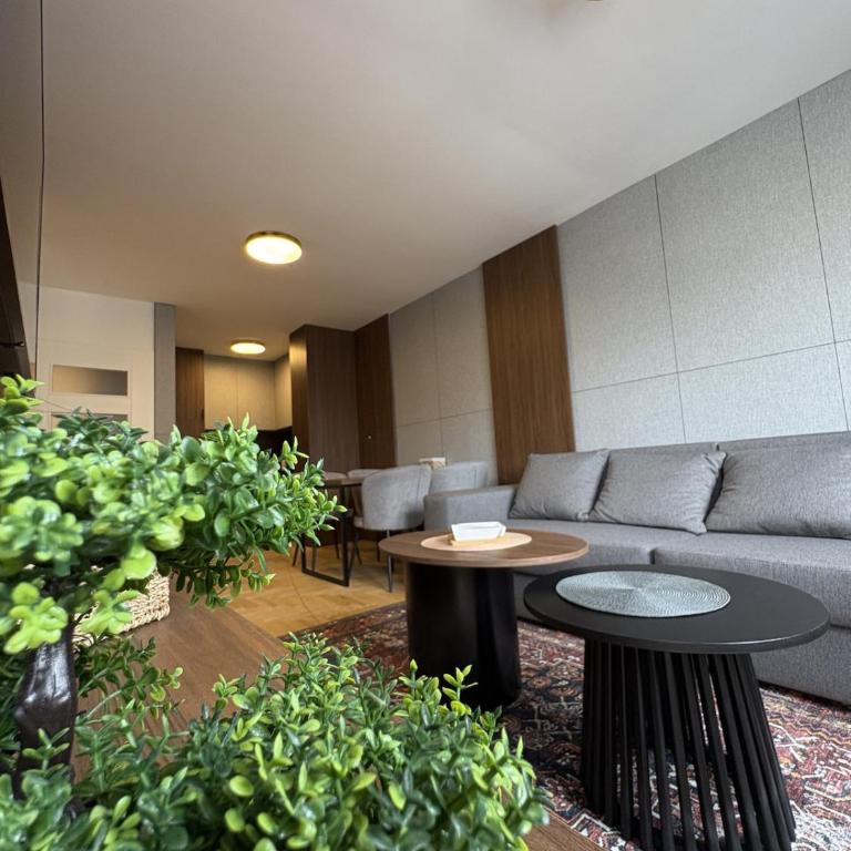 Self check-in lux apt near Jahorina & Sarajevo - One-Bedroom Apartment with Balcony - 5