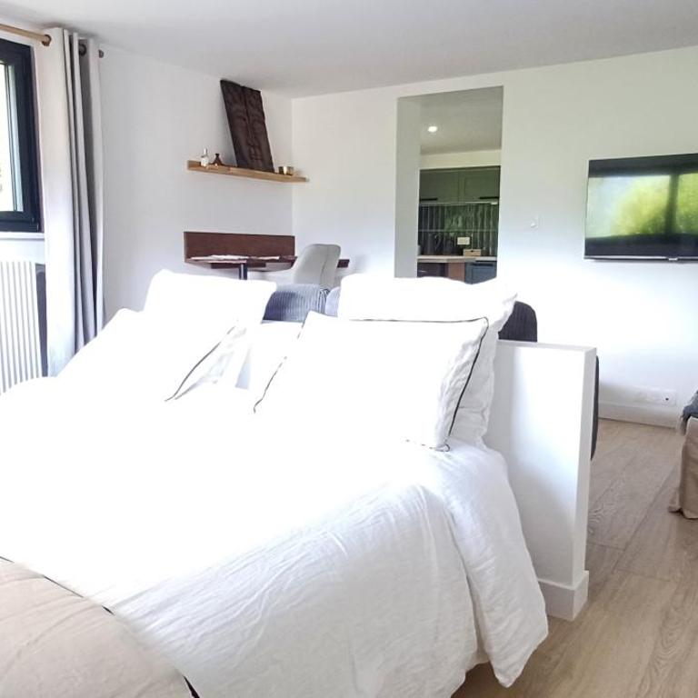 Les 3 SAVOIES - Appartement 1 Chambre - 1