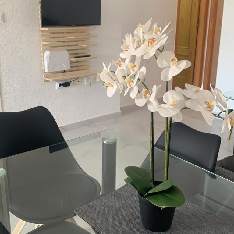 Gran Alacant casa with amazing sea view - Two-Bedroom Apartment - 16